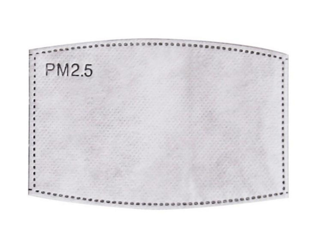 PM 2.5 Activated Carbon Replacement Filters (10 count)